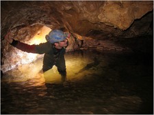 Thumbnail of photo from this article